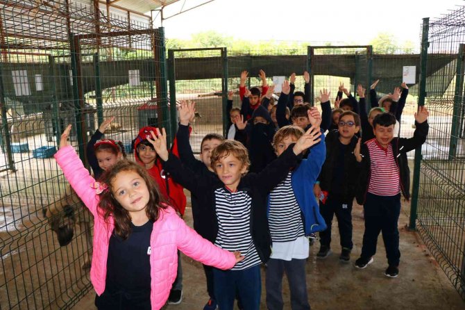 Çiftlikköy’de Minik Eller Minik Patilerle Buluştu