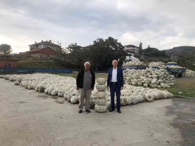 Bilecik’te Kışlık Kabakların Hasadı Yapıldı