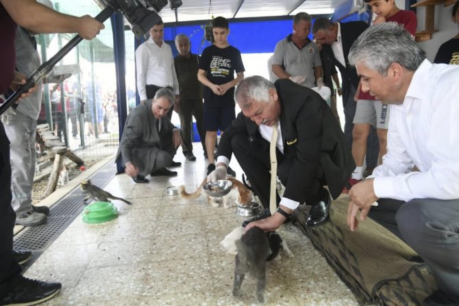 Karalar: "Kısırlaştırmayı Daha Da Artıracağız"