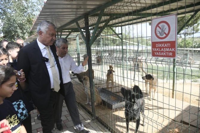 Karalar: "Kısırlaştırmayı Daha Da Artıracağız"