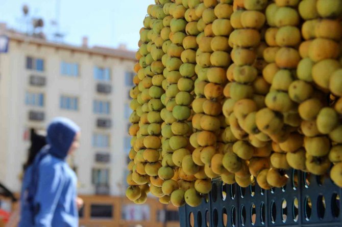 Kurak Bölgelerde Yetişiyor, Faydası Saymakla Bitmiyor