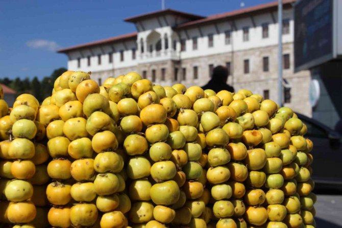 Kurak Bölgelerde Yetişiyor, Faydası Saymakla Bitmiyor