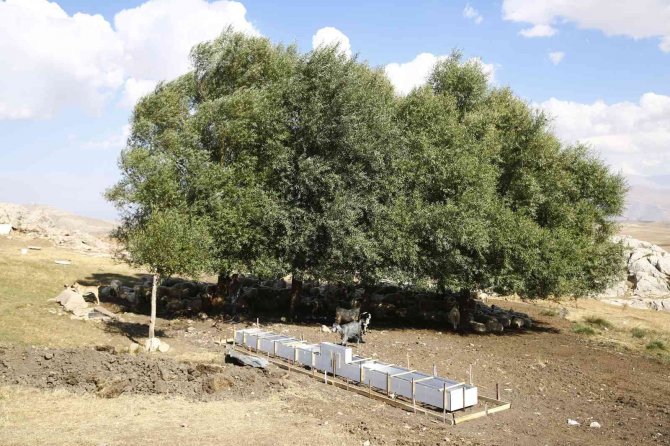 Mera Islahı İle Toprak Ve Bitki Örtüsünün Kalitesi Artacak