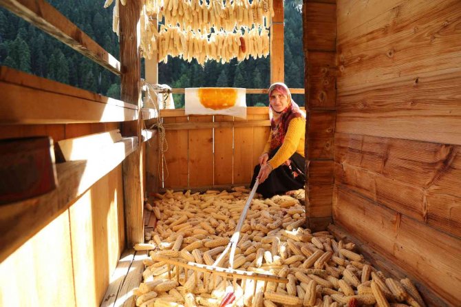 Artvin’in Köylerinde Kış Hazırlıkları Başladı