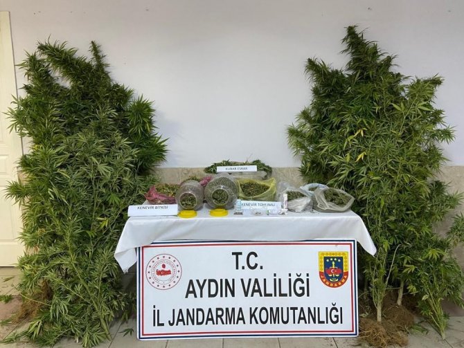 Aydın’da Uyuşturucu İle Mücadelede Bir Haftada 2 Kişi Tutuklandı