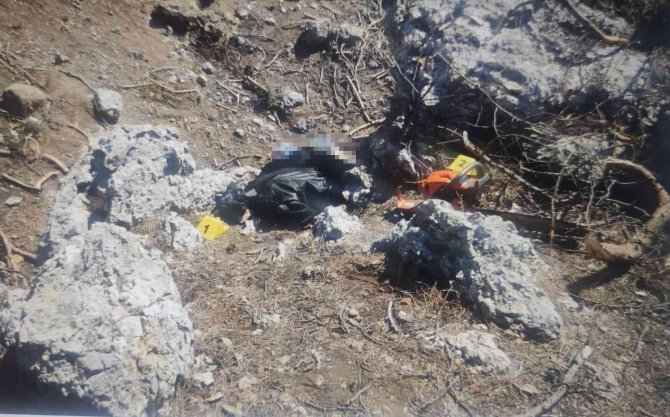 Kestiği Ağacın Altında Kalarak Hayatını Kaybetti