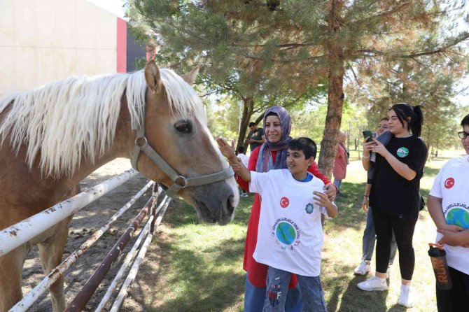 Diyarbakır’da Engellilere Verilen At İle Terapi Hizmeti Yeniden Başladı