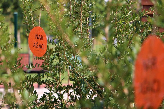 Kayapınarlı Çocuklara ’Ekolojik Ve Atıksız’ Yaşamın Örnekleri Anlatılıyor