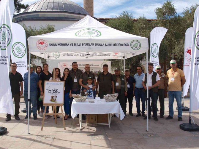 Menteşe’de Kedi Ve Köpeklere Mama Dağıtıldı