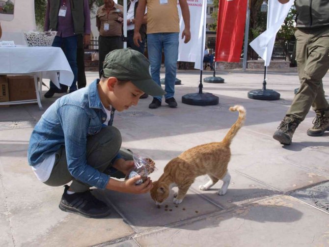 Menteşe’de Kedi Ve Köpeklere Mama Dağıtıldı