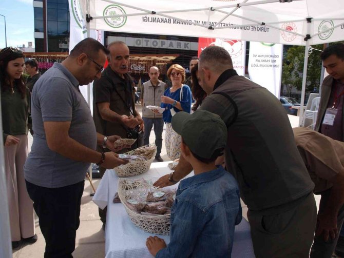 Menteşe’de Kedi Ve Köpeklere Mama Dağıtıldı