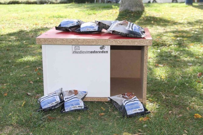 Elazığ’da Sokak Hayvanları İçin Ev Yapıldı