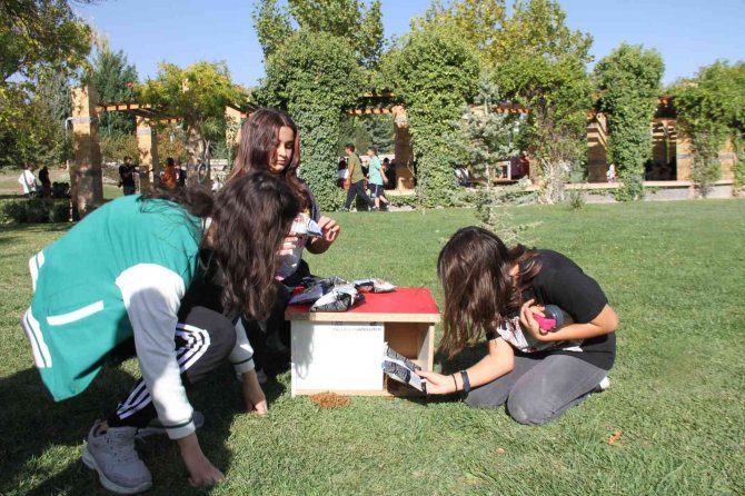 Elazığ’da Sokak Hayvanları İçin Ev Yapıldı