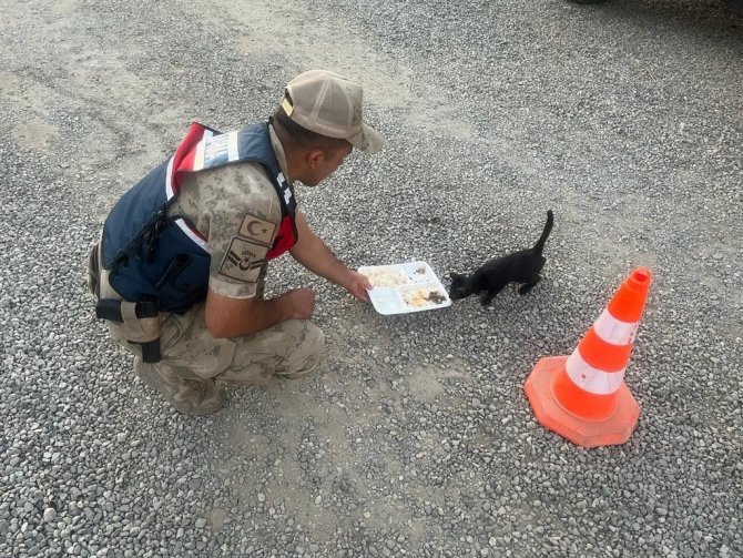 Elazığ’da Jandarmadan 4 Ekim Dünya Hayvanları Koruma Günü Etkinliği