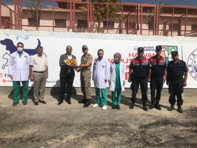 Elazığ’da Jandarmadan 4 Ekim Dünya Hayvanları Koruma Günü Etkinliği