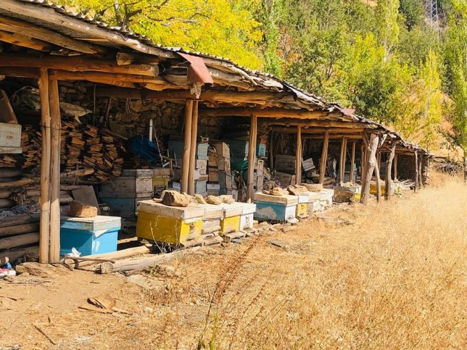 Elazığ’da Kovanlar Kontrol Edildi