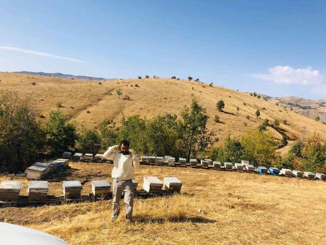 Elazığ’da Kovanlar Kontrol Edildi