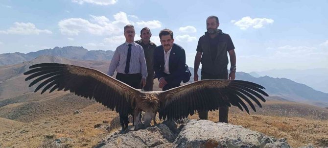 Hayvanları Koruma Günü’nde Özgülüğe Kanat Çırptı