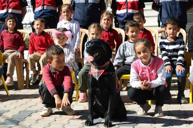 Jandarmadan Hayvanları Koruna Günü Etkinliği
