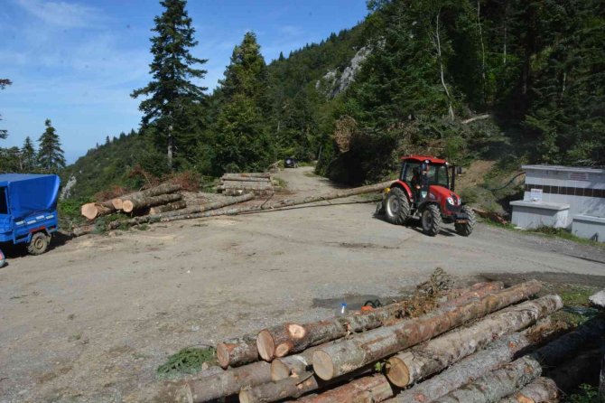 Orman Köylüsüne 890 Bin Lira Hibe