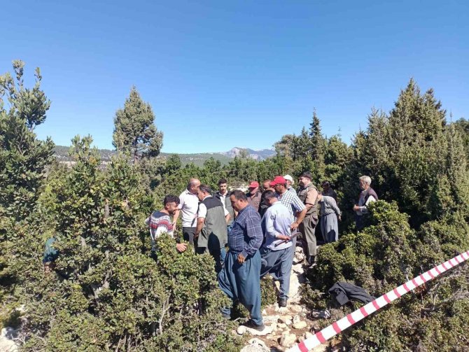Tarsus’ta Defne Üretim Tatbikatı Yapıldı