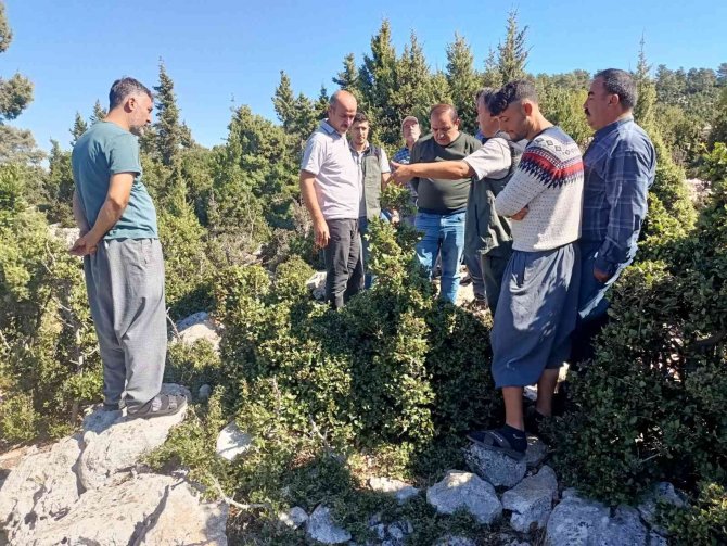 Tarsus’ta Defne Üretim Tatbikatı Yapıldı