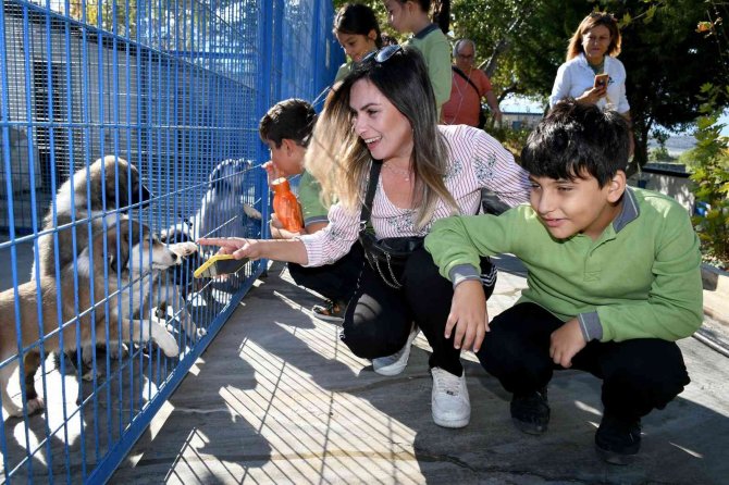 Minik Öğrencilerden Can Dostlara Ziyaret