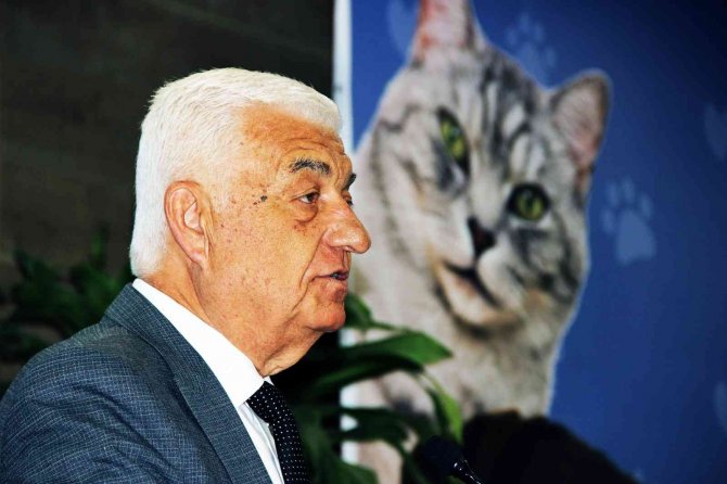 Başkan Gürün, “Sokak Hayvanlarını Azaltmamız Lazım”