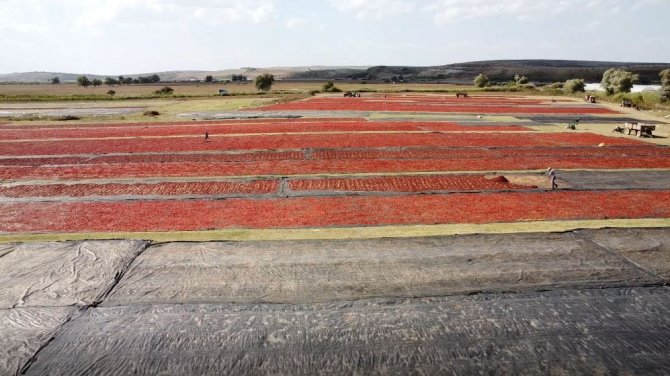 Bursa’nın Toz Biberi Dünya Mutfağında