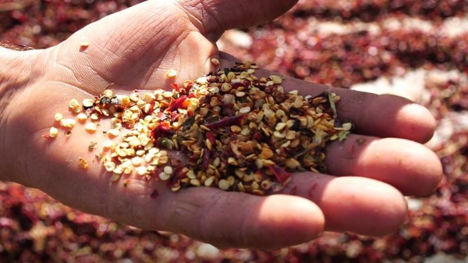 Bursa’nın Toz Biberi Dünya Mutfağında