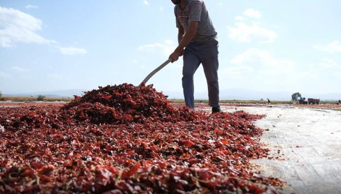 Bursa’nın Toz Biberi Dünya Mutfağında