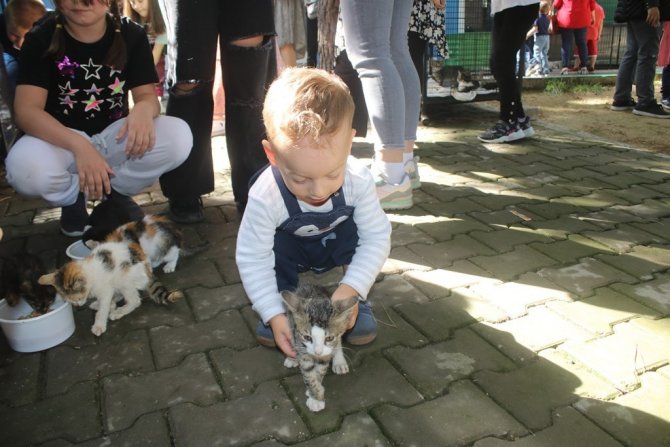 Hayat’tan Can Dostlara Mama Desteği