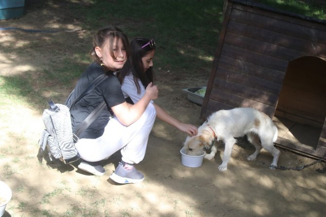 Hayat’tan Can Dostlara Mama Desteği