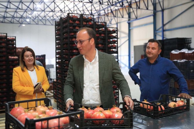 Pamukkale Belediyesi’nden Nar Ve Ayva İçin Coğrafi İşaret Atılımı