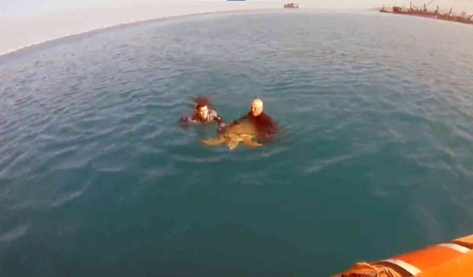 Sahil Güvenlikten Hayvanları Koruma Günü Hassasiyeti