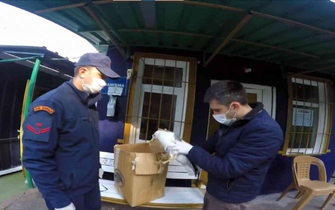 Sahil Güvenlikten Hayvanları Koruma Günü Hassasiyeti