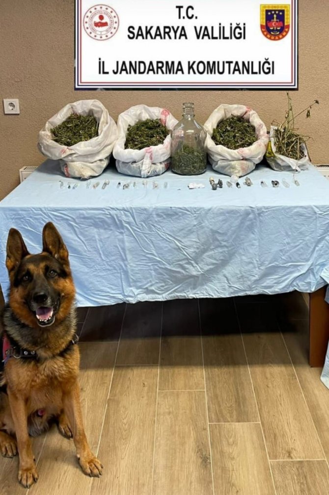 Sakarya’da 5 Kilo Esrar Ele Geçirildi: 1 Gözaltı