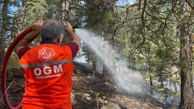 Sarıkamış’ta Ormanlık Alanda Çıkan Örtü Yangını Söndürüldü