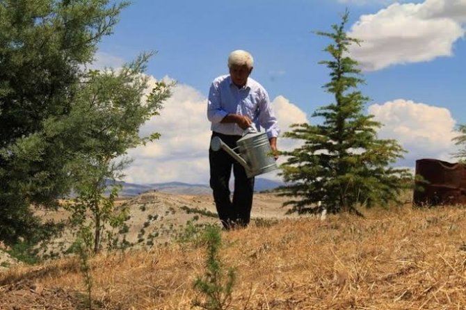 38 Yılda 30 Bin Ağaç Dikmişti, ’Merhamet Ve Emek’ Ödülüne Layık Görüldü