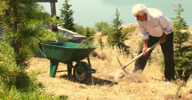 38 Yılda 30 Bin Ağaç Dikmişti, ’Merhamet Ve Emek’ Ödülüne Layık Görüldü