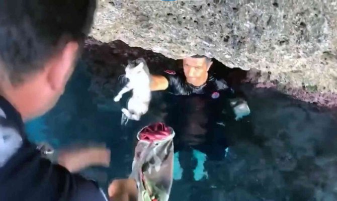 Sahil Güvenlikten Hayvanları Koruma Günü Hassasiyeti