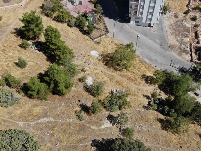 6-7 Bin Yıllık Olduğu Değerlendirilen Mezarlıktaki Asırlık Meşe Ağaçları Koruma Altına Alınmayı Bekliyor