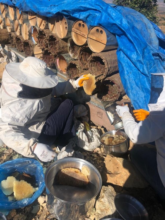 Bingöl Balı Büyük Rağbet Görüyor