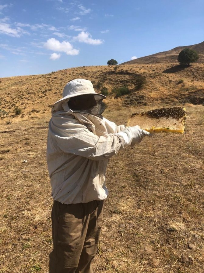 Bingöl Balı Büyük Rağbet Görüyor
