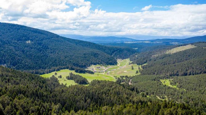 Sivas’ta Orman Oranı Yüzde 8’den Yüzde 18’e Çıktı