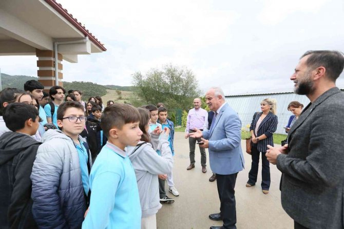 Sokak Hayvanları Bu Merkezde Şifa Buluyor