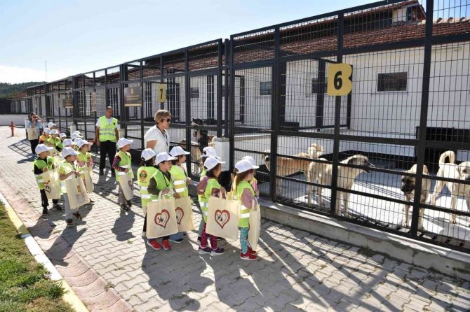 Balıkesir’de Mamamatikler Devreye Alınacak