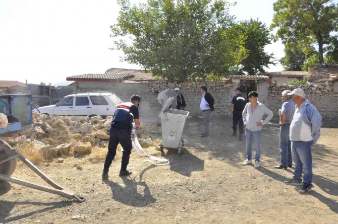 Karaman’da Köpeğin Saldırdığı Kadın Öldü