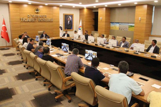 Dtb Başkanı Yeşil: “Pamuk Üreticileri Acil Desteklenmeli”