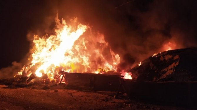 Tercan’da 2 Bin 700 Bağ Ot Yandı